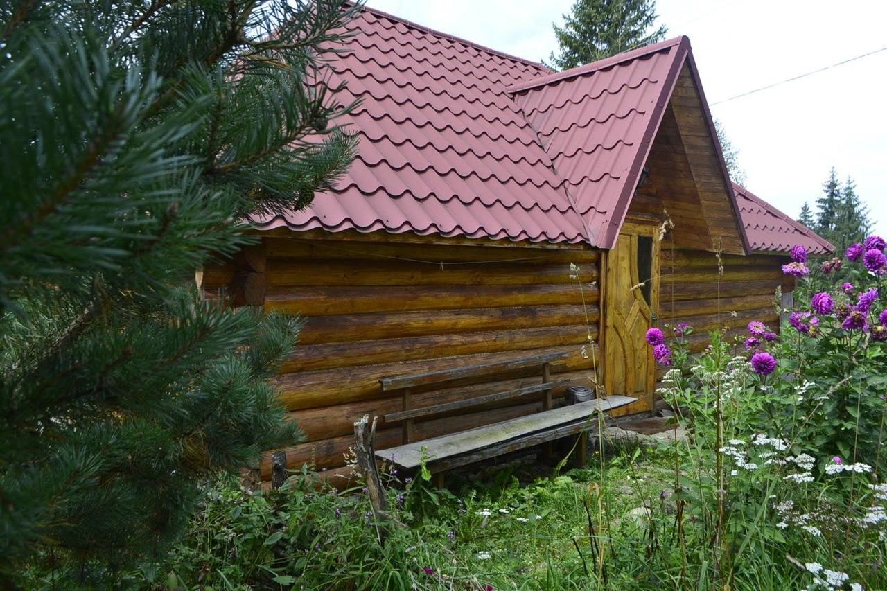 Загородные дома Villa Maria Яблоница-19